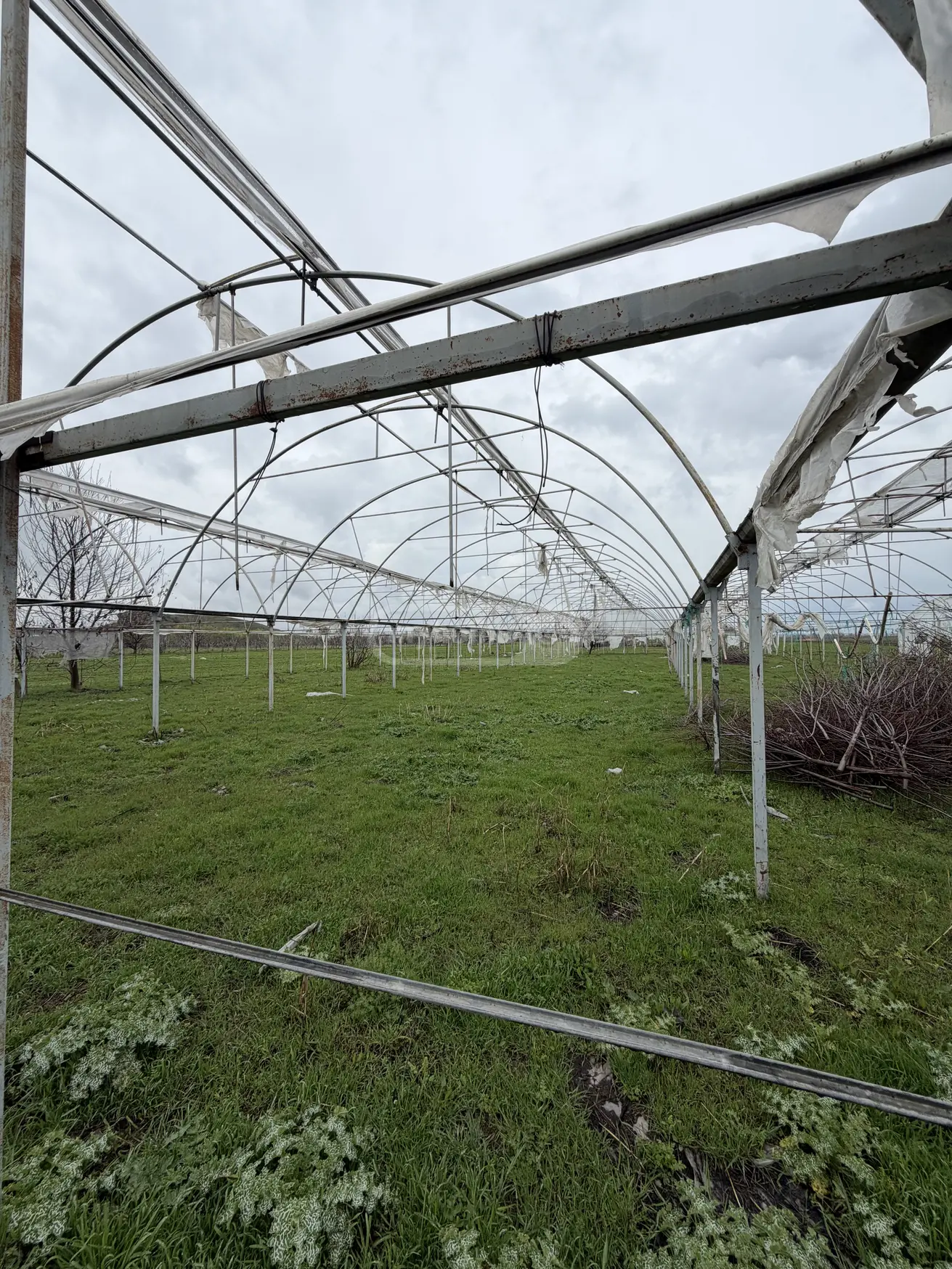 Продажа Земля / участок в Marneulshi view 9