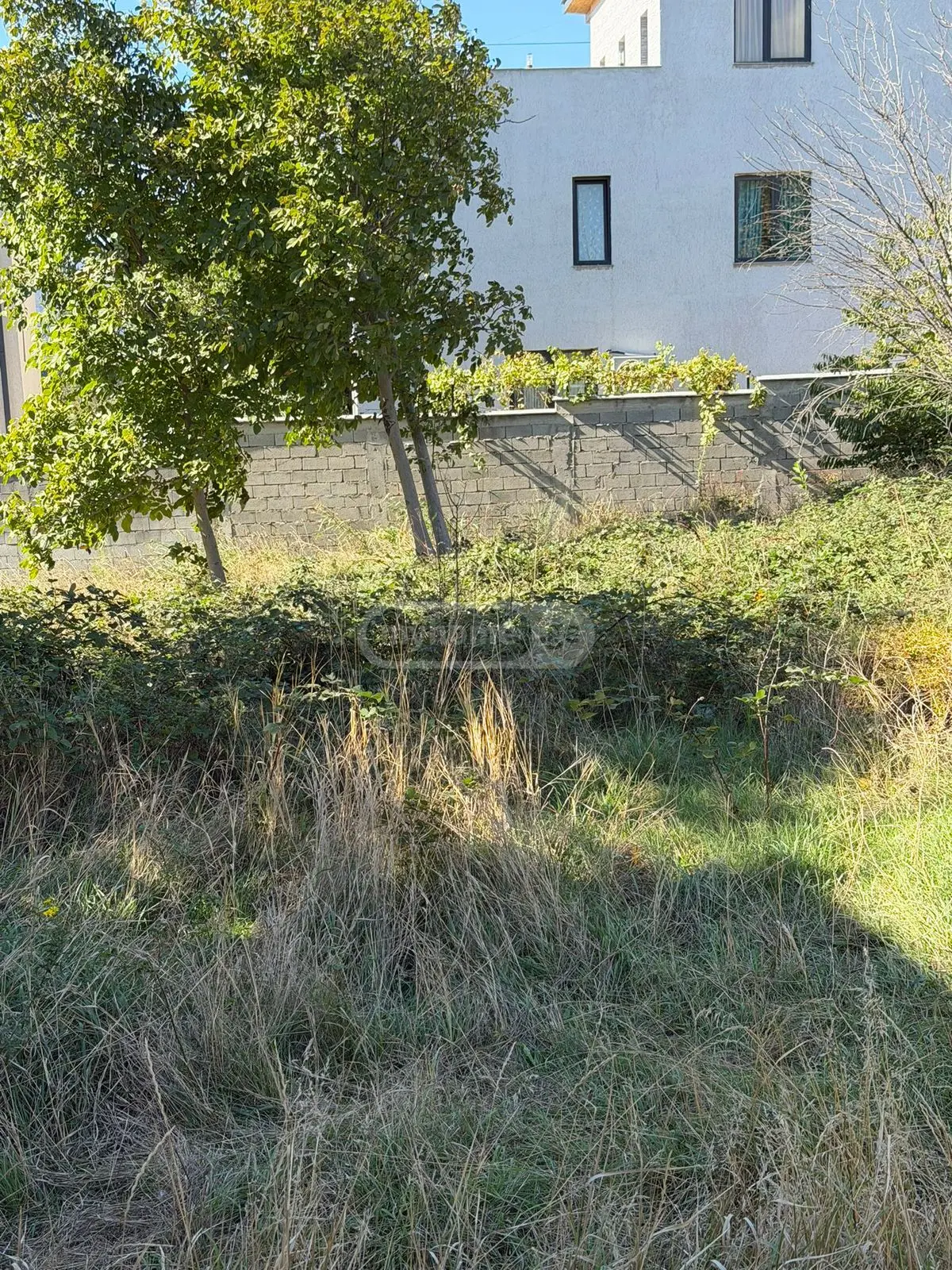 For Sale Sasoplo-Sameurneo Land Plot Tbilisis Zghvaze, 2 of 7