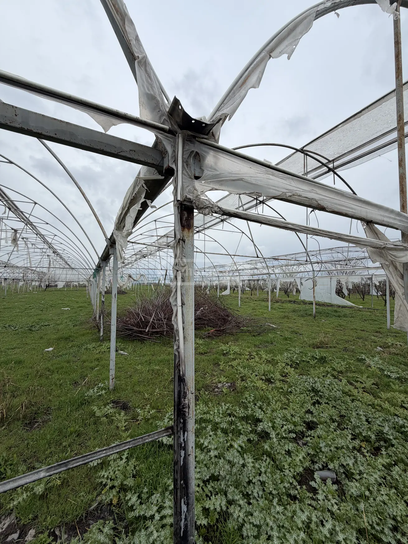 Продажа Земля / участок в Marneulshi view 11