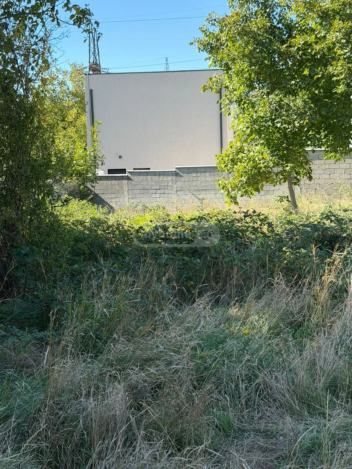 For Sale Sasoplo-Sameurneo Land Plot Tbilisis Zghvaze, 1 of 7