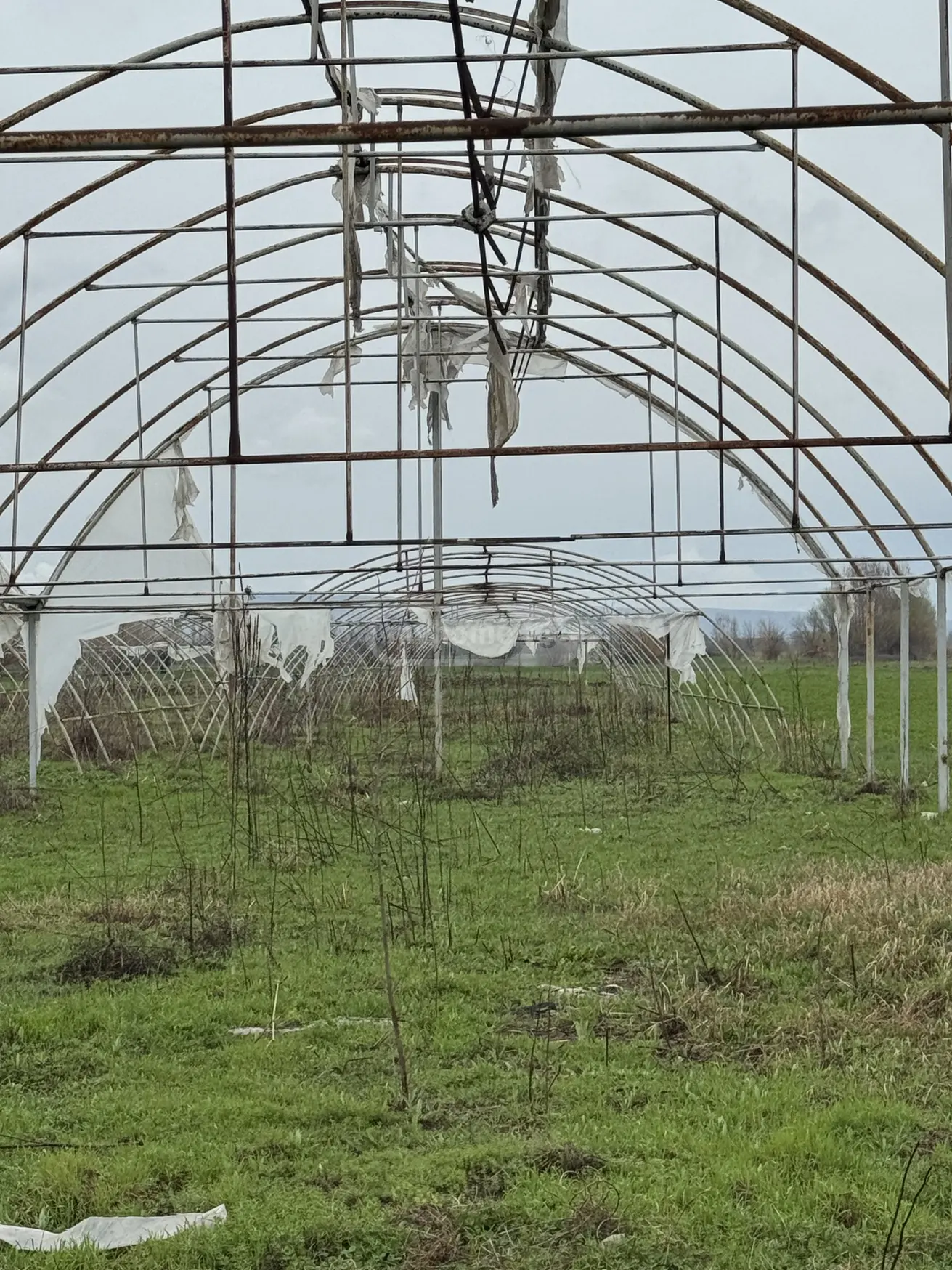 For Sale Sasoplo-Sameurneo Land Plot Marneulshi view 5