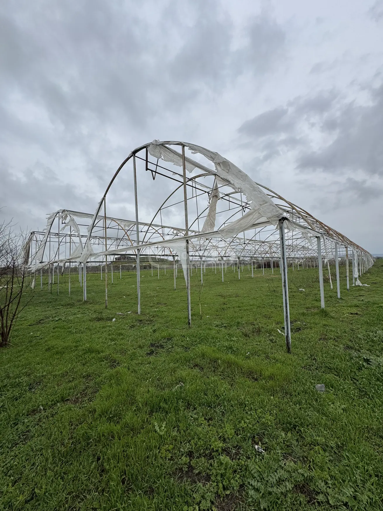For Sale Sasoplo-Sameurneo Land Plot Marneulshi view 4