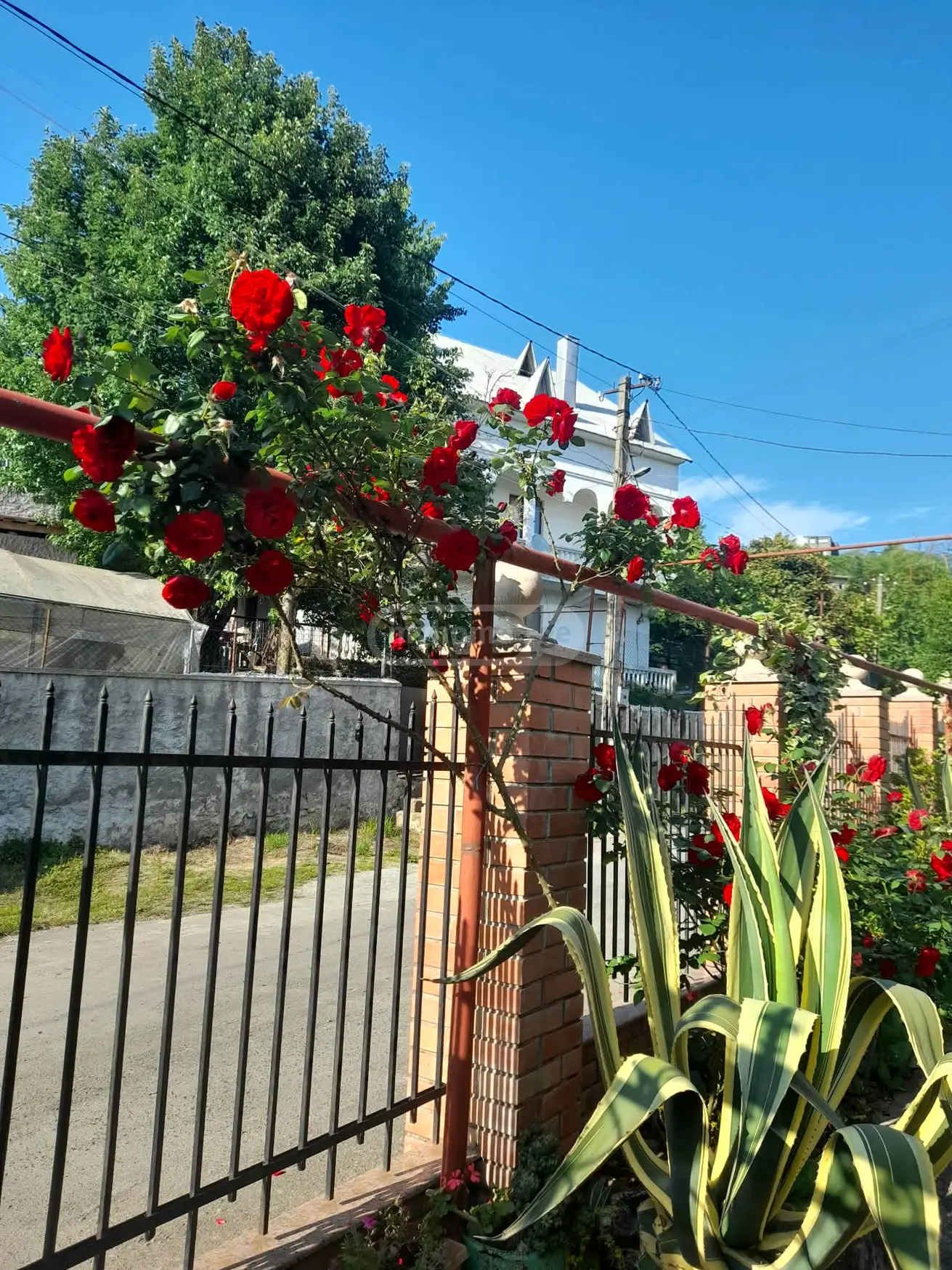 For Rent 5 Room Private House view 3