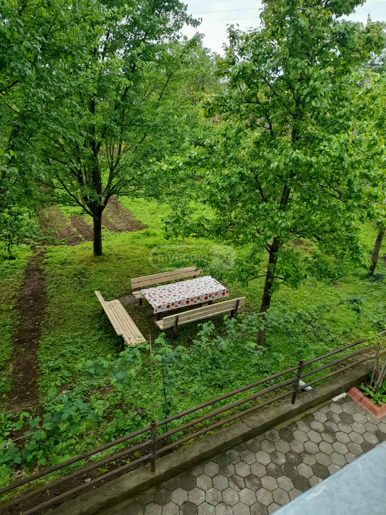 For Rent 5 Room Private House view 6