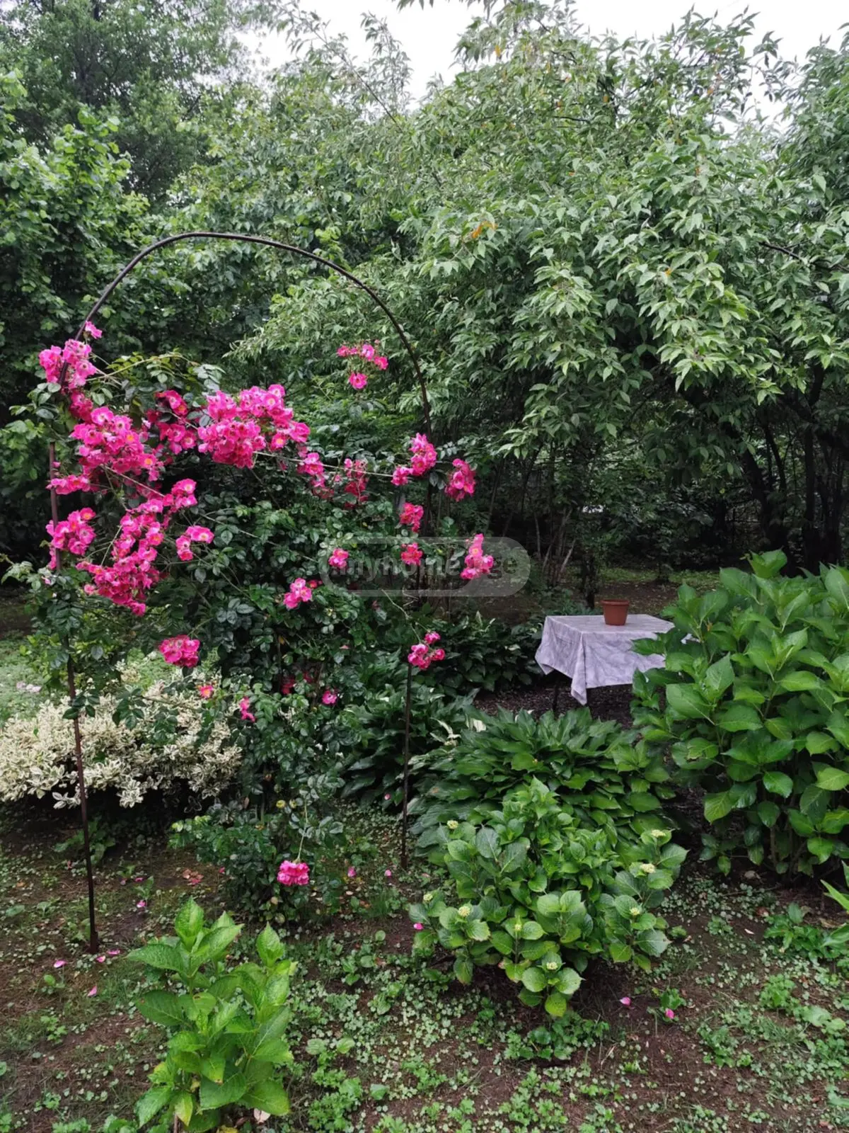 For Sale 8 Room Private House view 10