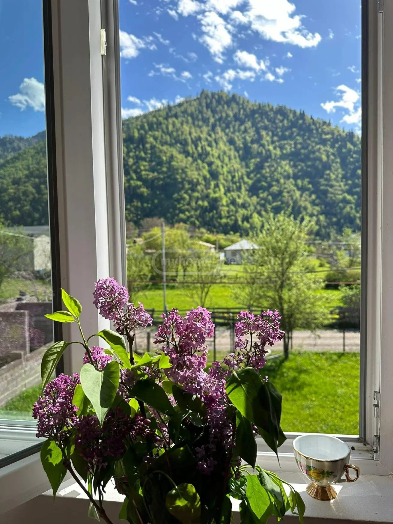 For Sale 3 Room Country House Borjomis Munitsipalitetshi view 11