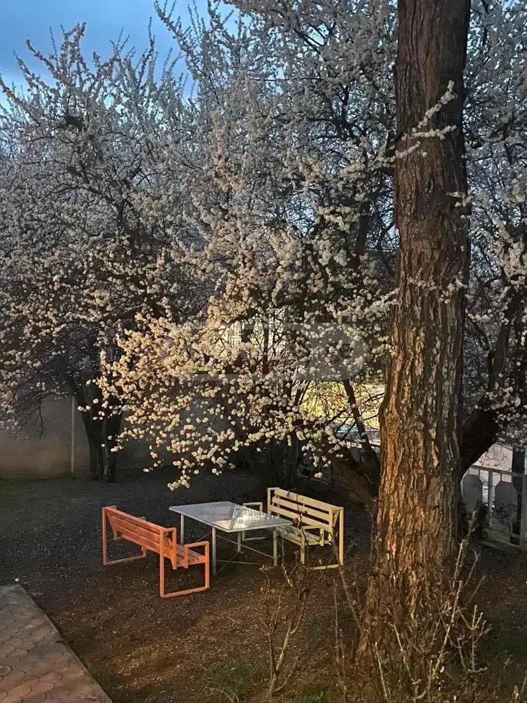 For Rent 3 Room Country House Tsqnetshi, 8 of 10