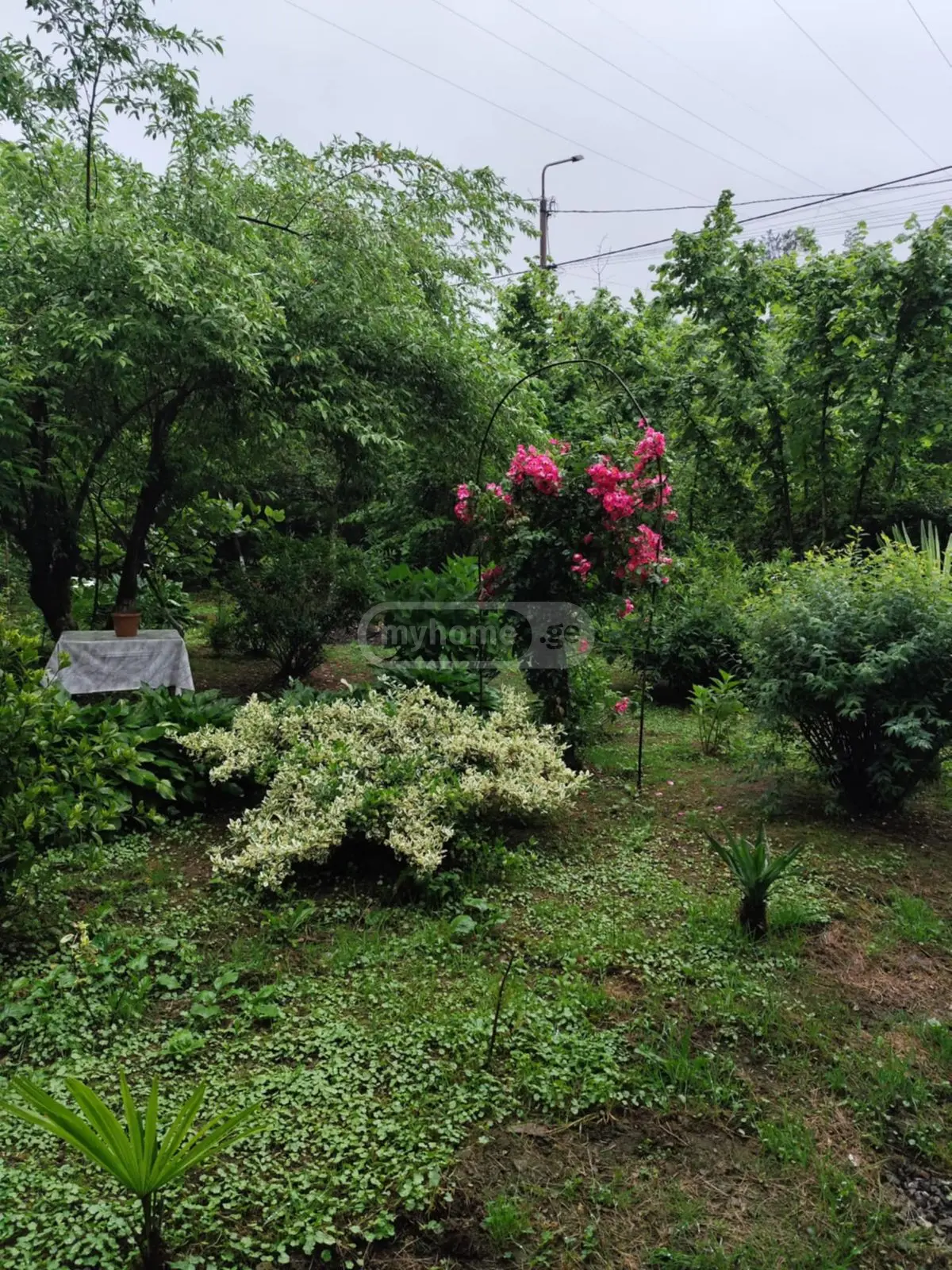 For Sale 8 Room Private House view 15