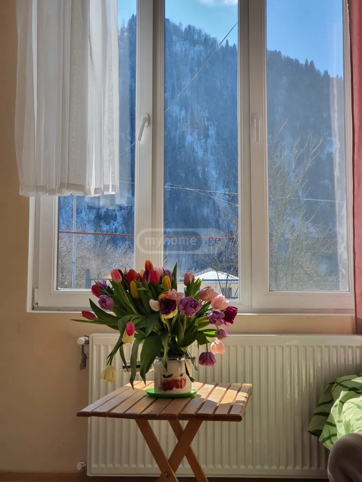 For Sale 3 Room Country House Borjomis Munitsipalitetshi view 10