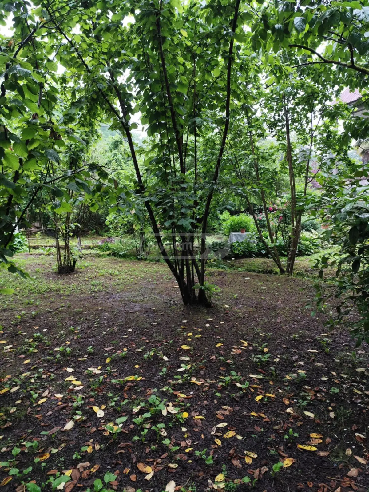 For Sale 8 Room Private House view 7