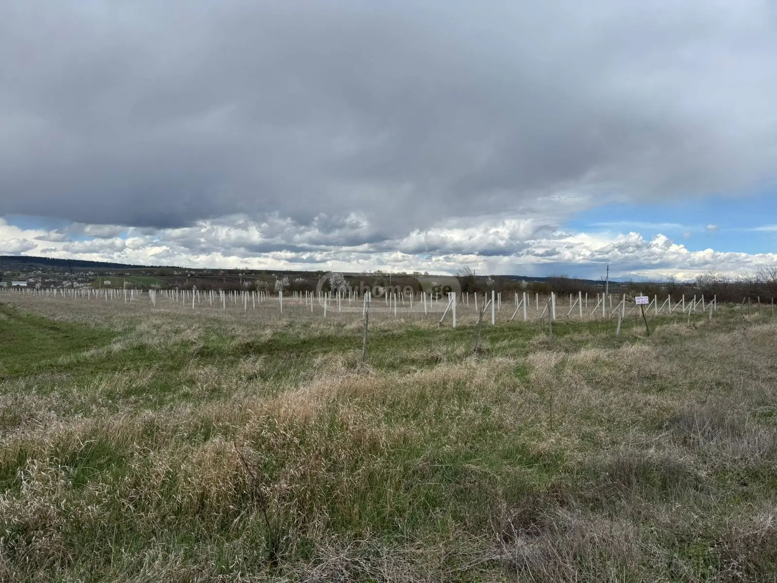 For Sale Sasoplo-Sameurneo Land Plot Khashurshi view 7