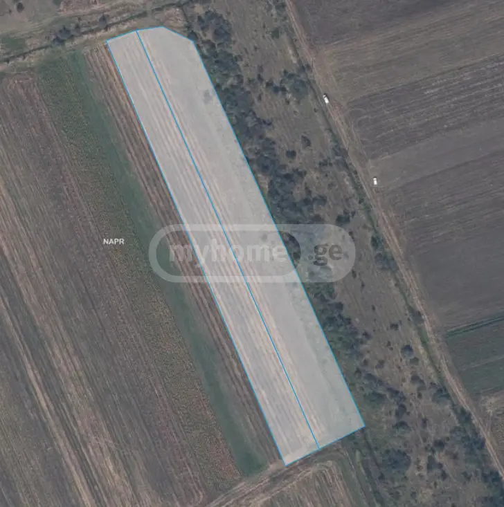 For Sale Sasoplo-Sameurneo Land Plot Khashurshi view 8