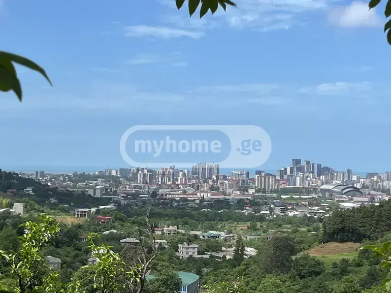 For Sale Ara Sasoplo-Sameurneo Land Plot In Batumi view 1