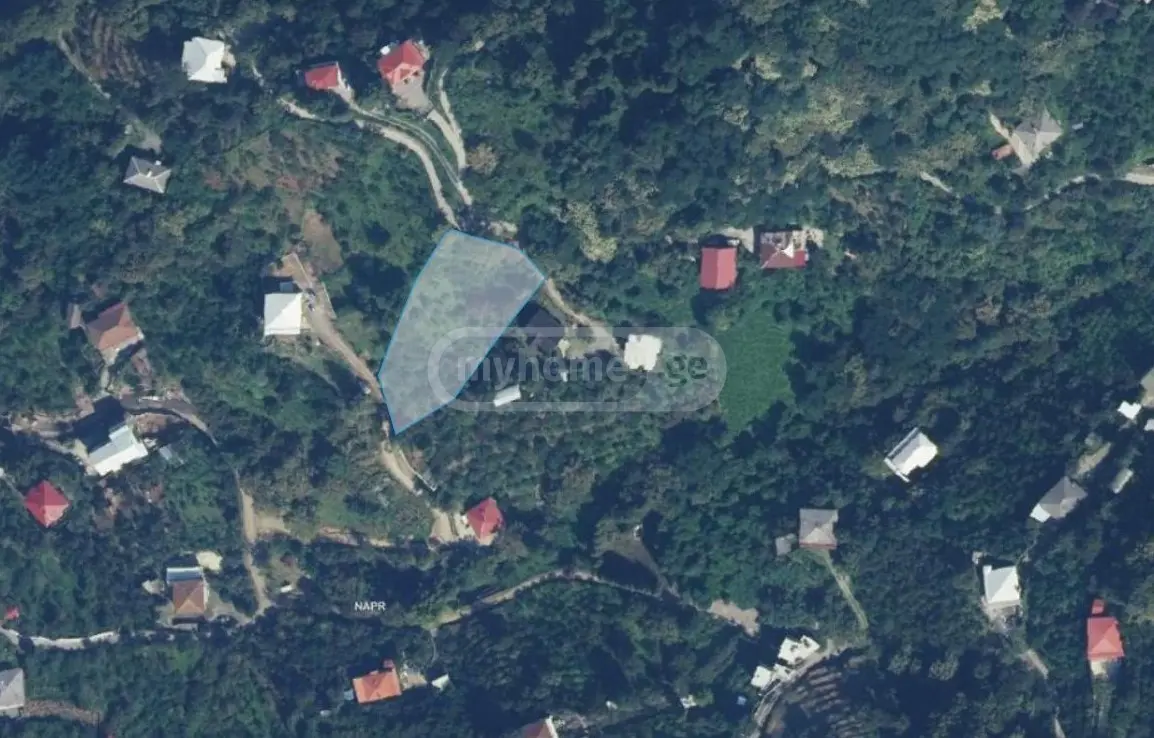 For Sale Ara Sasoplo-Sameurneo Land Plot In Batumi view 2