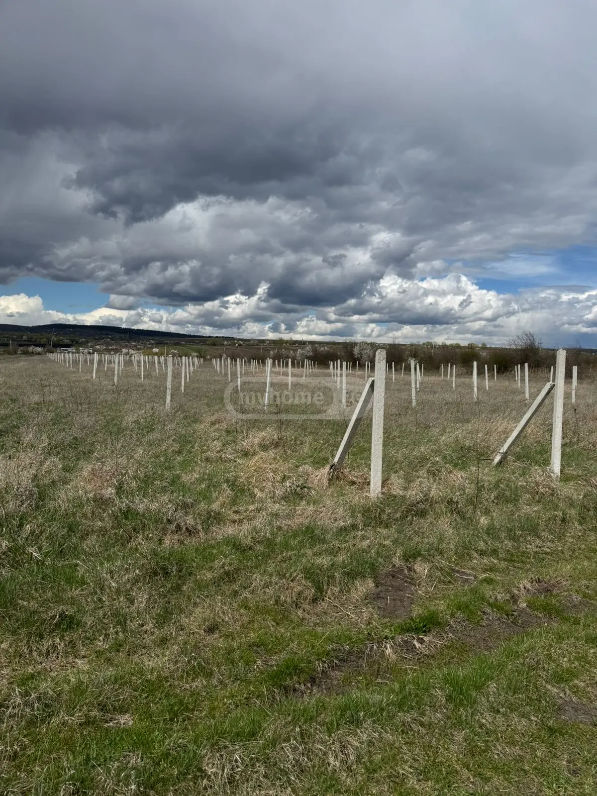 For Sale Sasoplo-Sameurneo Land Plot Khashurshi view 5