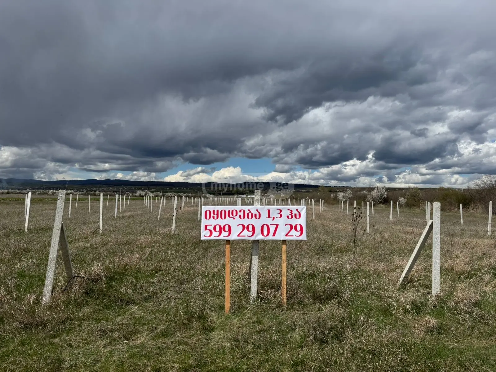 For Sale Sasoplo-Sameurneo Land Plot Khashurshi view 3