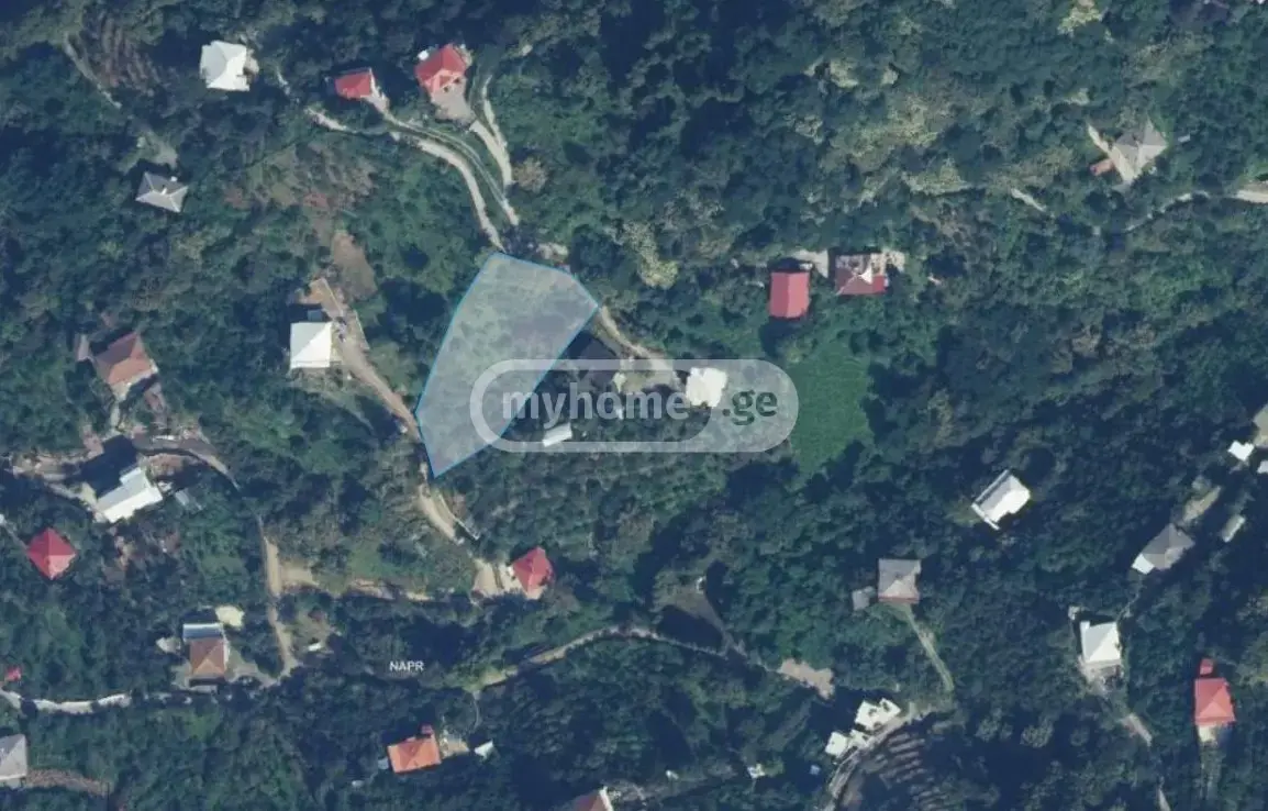 For Sale Ara Sasoplo-Sameurneo Land Plot In Batumi view 2