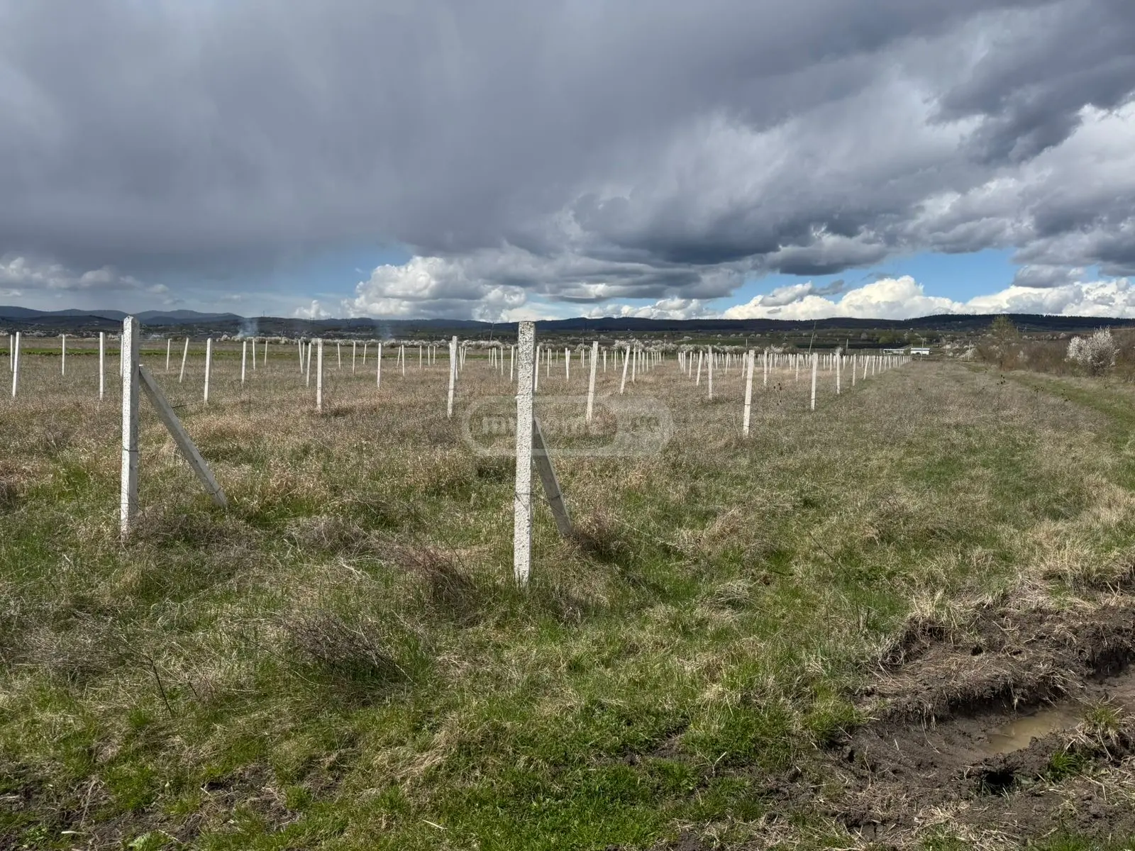 For Sale Sasoplo-Sameurneo Land Plot Khashurshi view 4