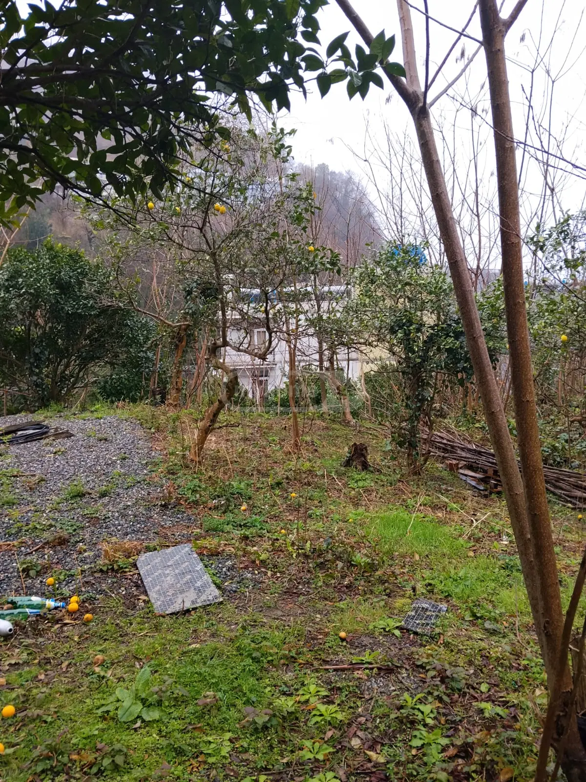 For Sale Ara Sasoplo-Sameurneo Land Plot Khelvachauris Munitsipalitetshi view 6