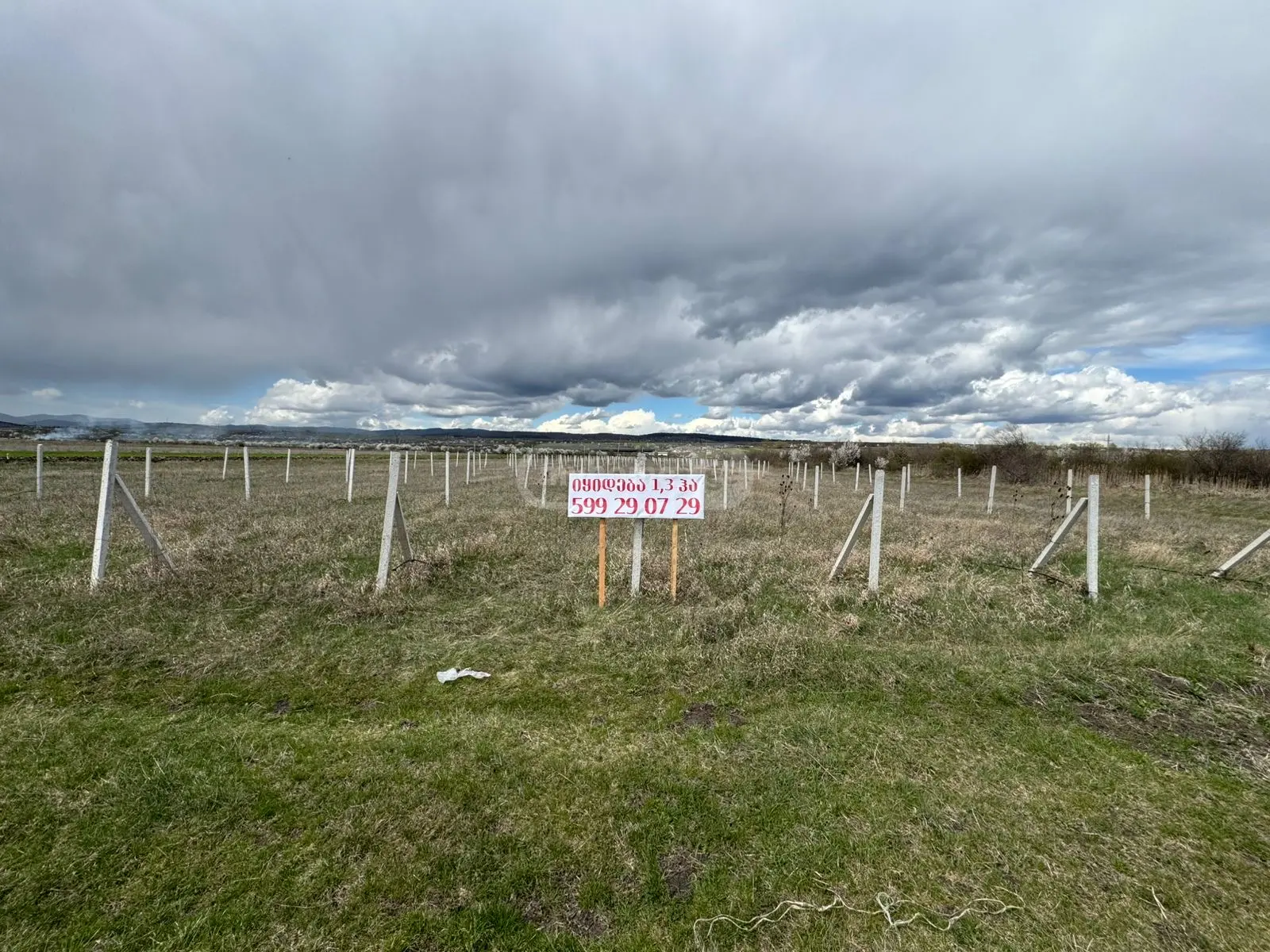 For Sale Sasoplo-Sameurneo Land Plot Khashurshi view 1