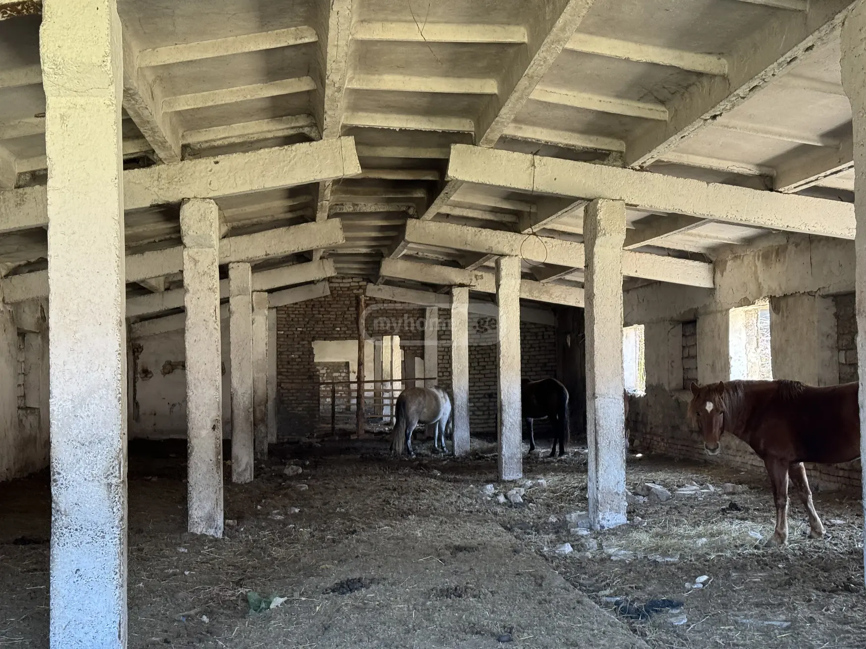 For Sale Universaluri Commercial Space Borjomis Munitsipalitetshi view 4