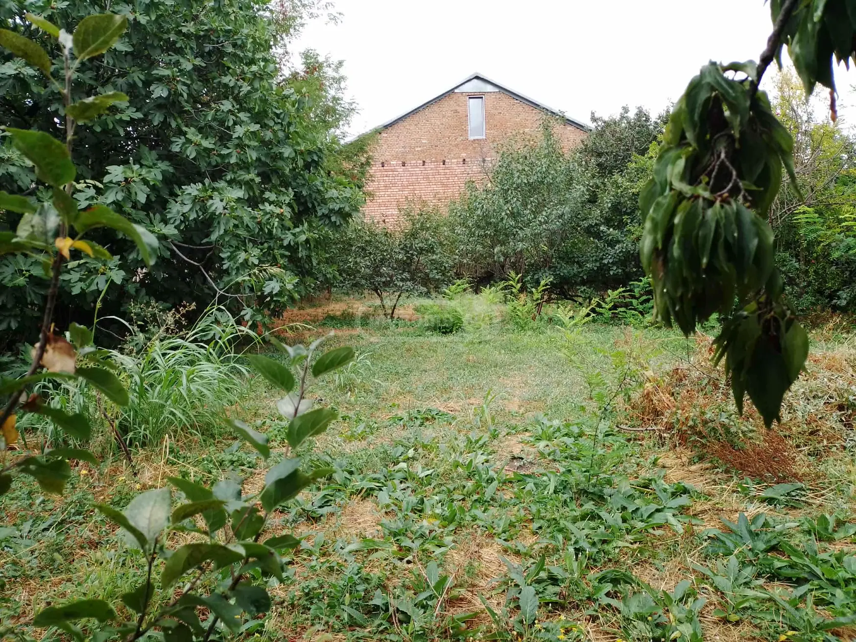 For Sale 10+ Room Private House Sagarejoshi view 6