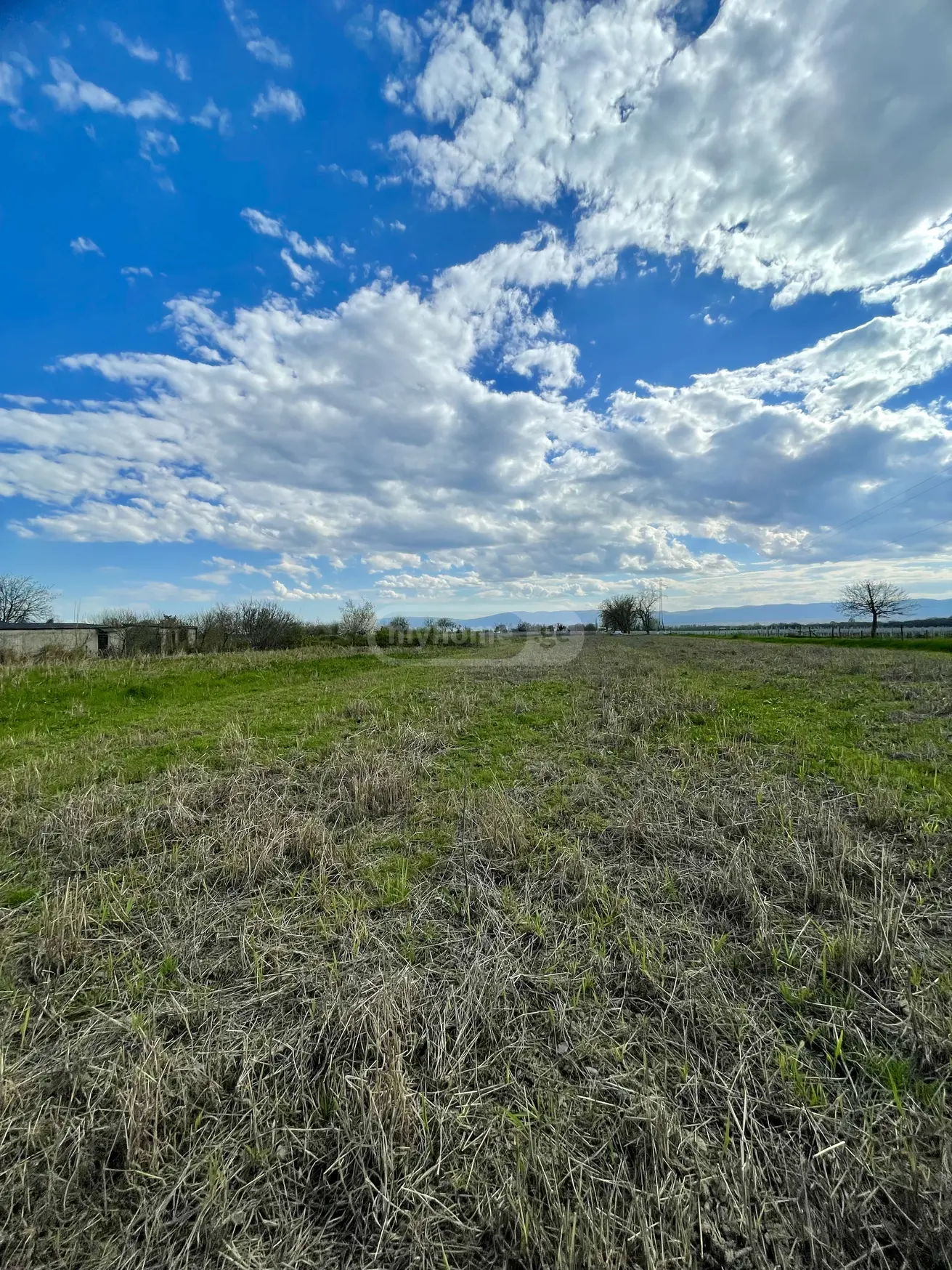 For Sale Sasoplo-Sameurneo Land Plot Qvarlis Munitsipalitetshi view 2