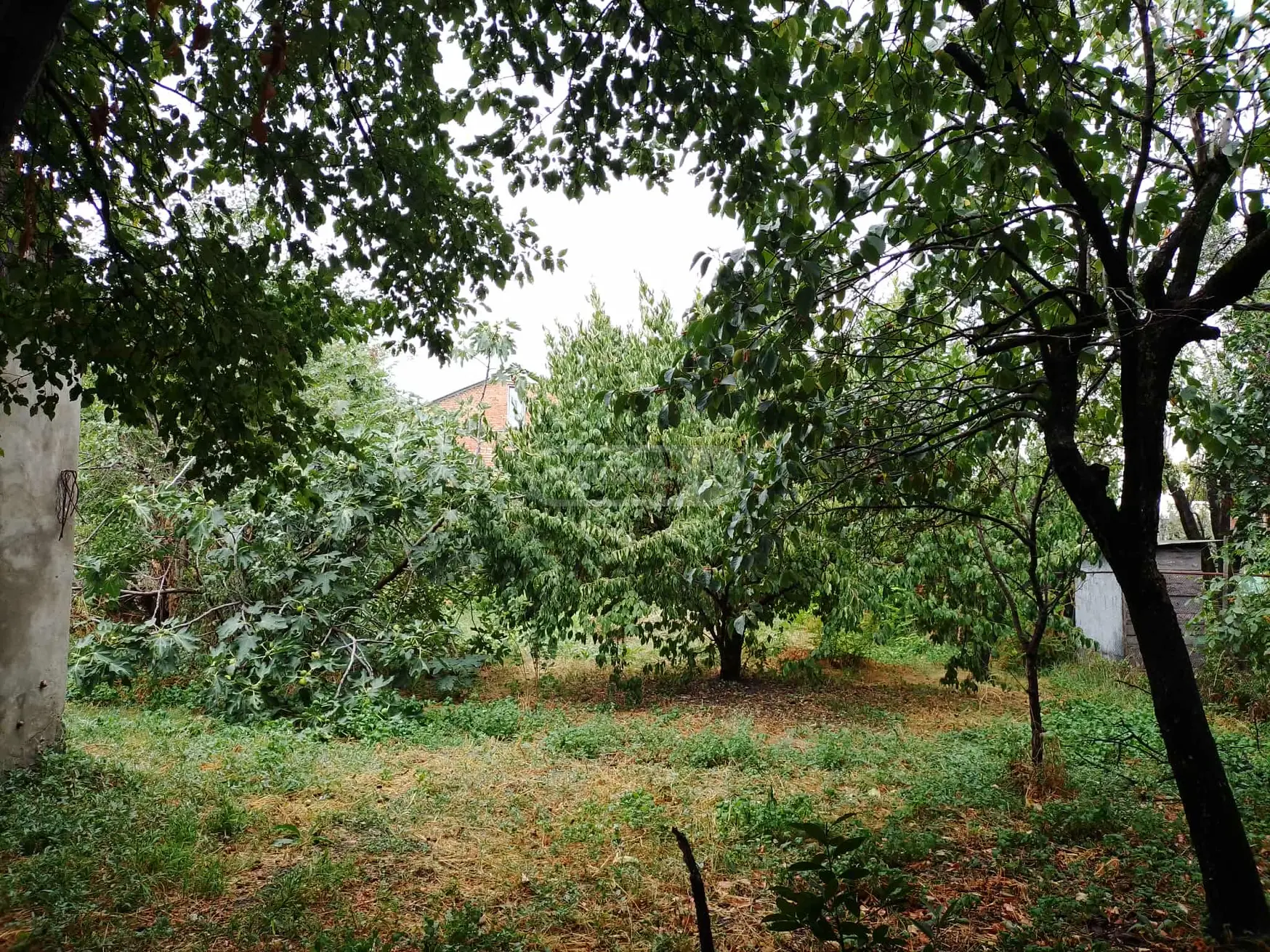 For Sale 10+ Room Private House Sagarejoshi view 9