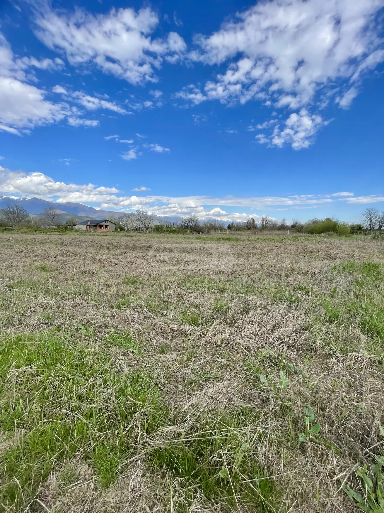 For Sale Sasoplo-Sameurneo Land Plot Qvarlis Munitsipalitetshi view 6