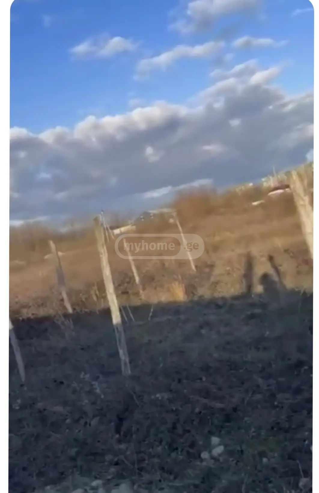 For Sale Sasoplo-Sameurneo Land Plot Kutaisshi view 2