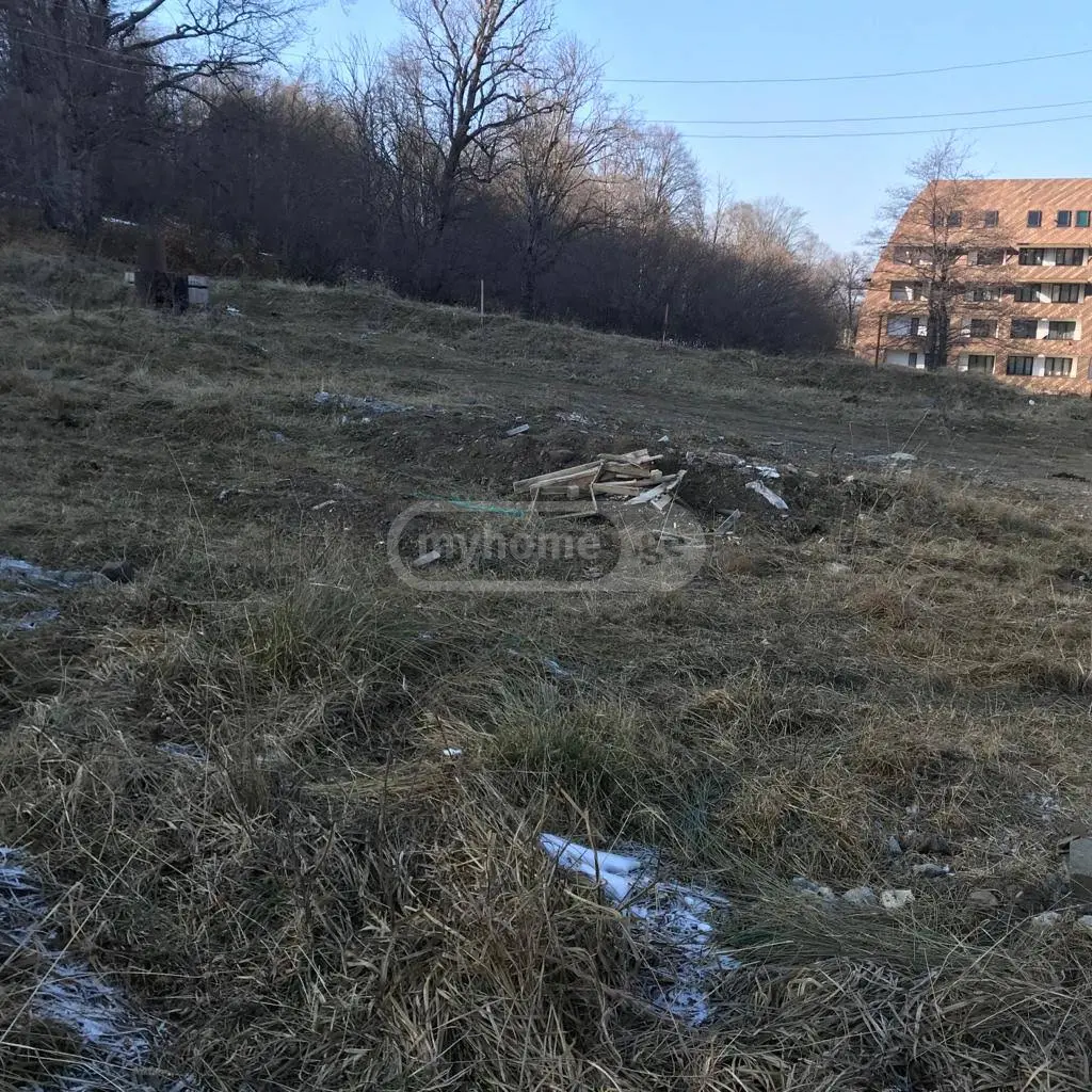 For Sale Ara Sasoplo-Sameurneo Land Plot Bakurianshi, 3 of 3