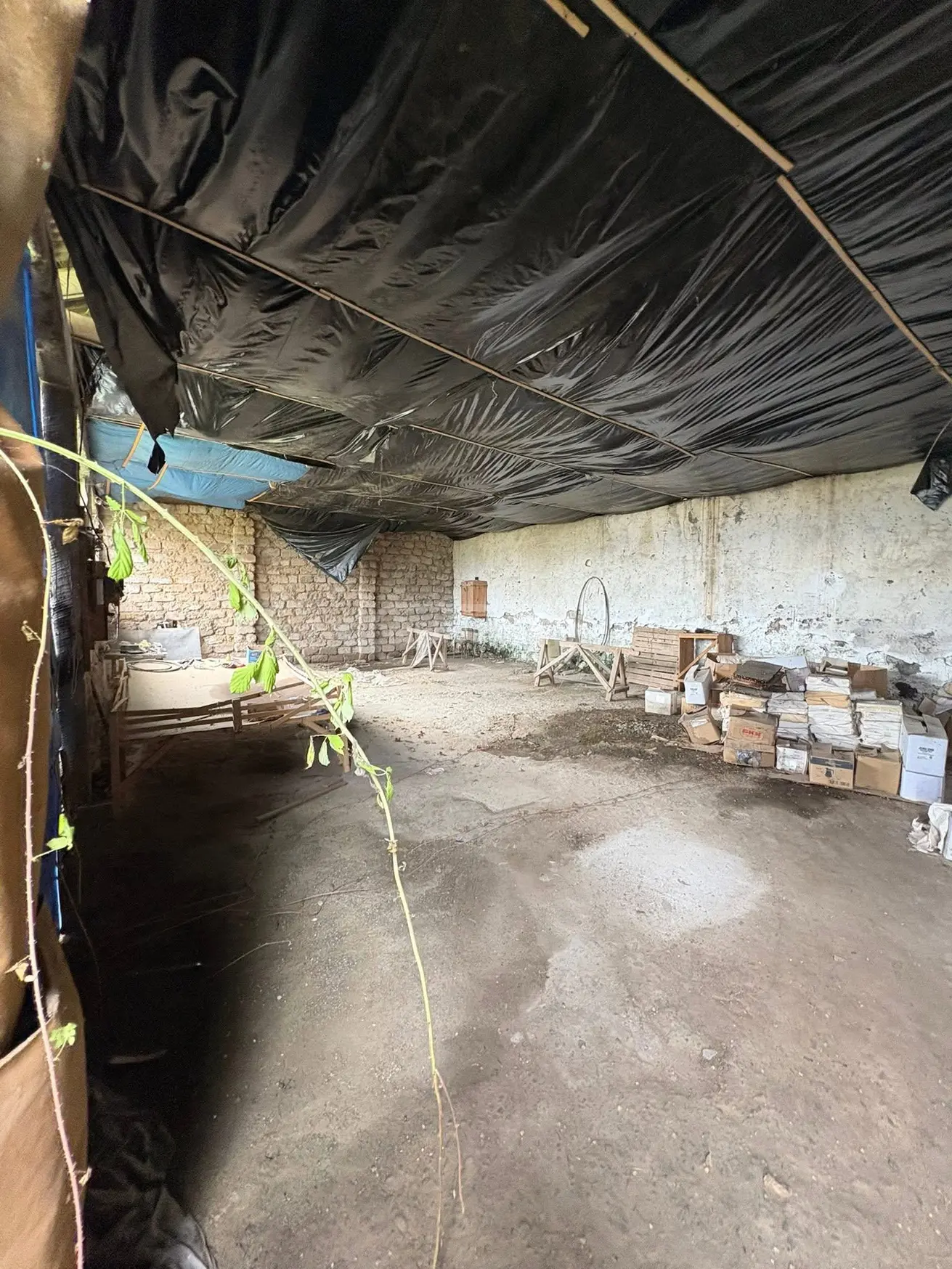 For Sale Sasatsqobe Commercial Space Telavshi view 1