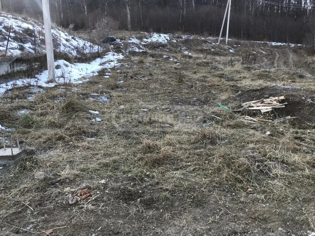 For Sale Ara Sasoplo-Sameurneo Land Plot Bakurianshi, 2 of 3