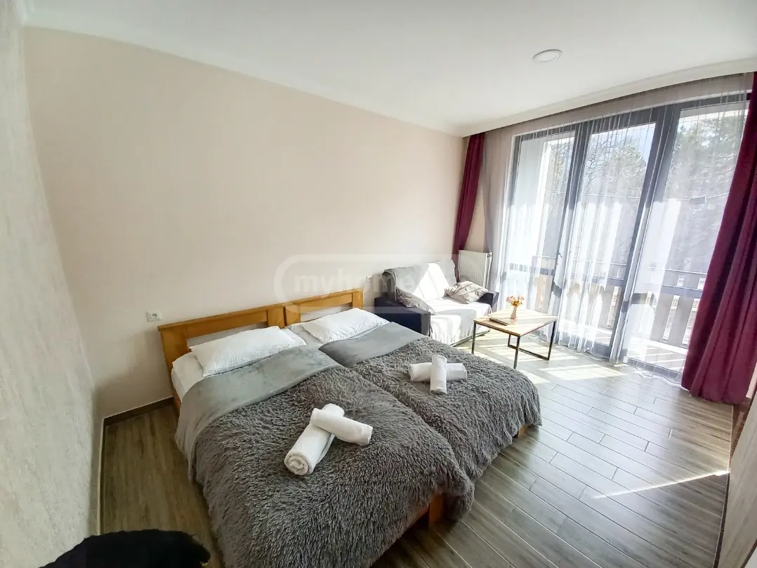 Daily Rent 10+ Room Country House Borjomshi view 5