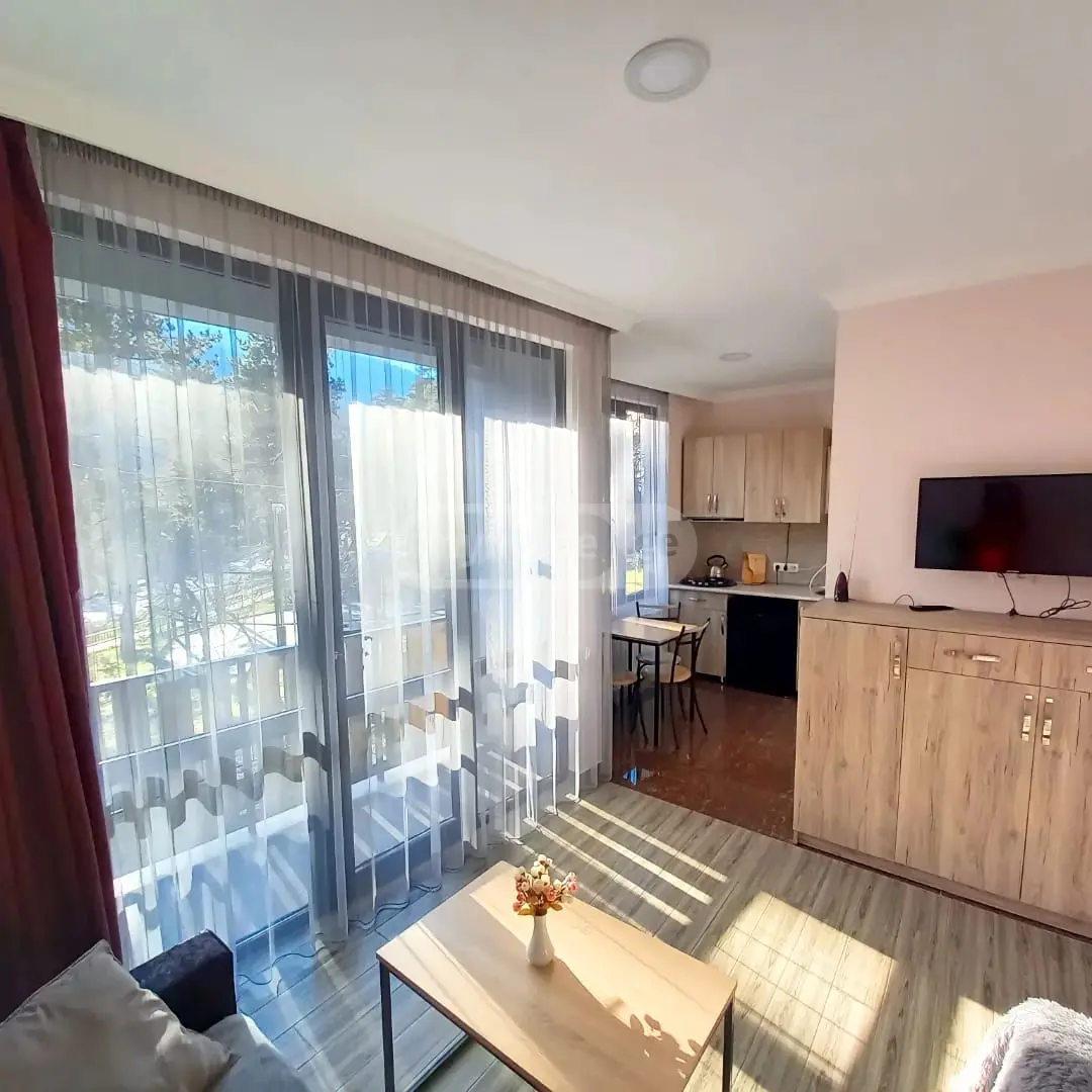 Daily Rent 10+ Room Country House Borjomshi view 12
