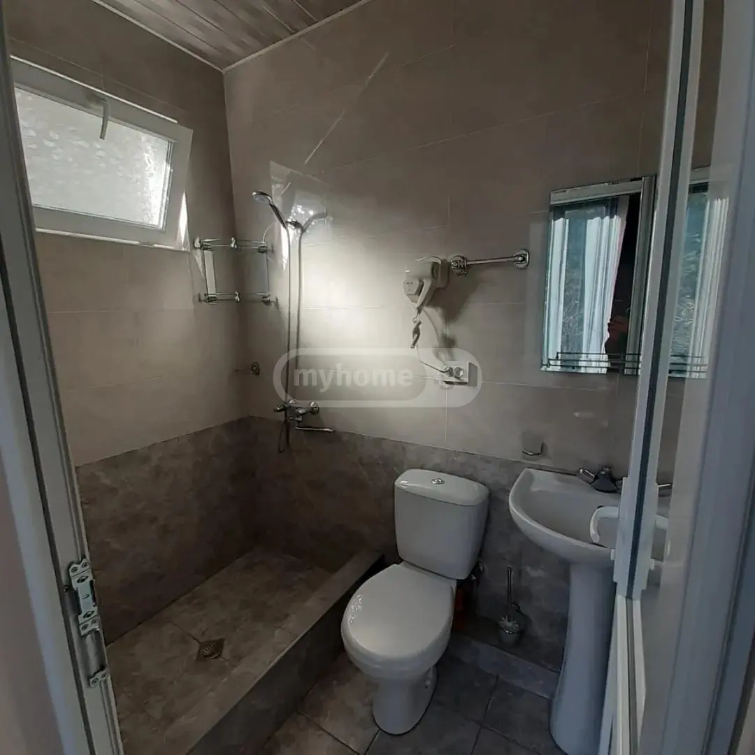Daily Rent 10+ Room Country House Borjomshi view 9