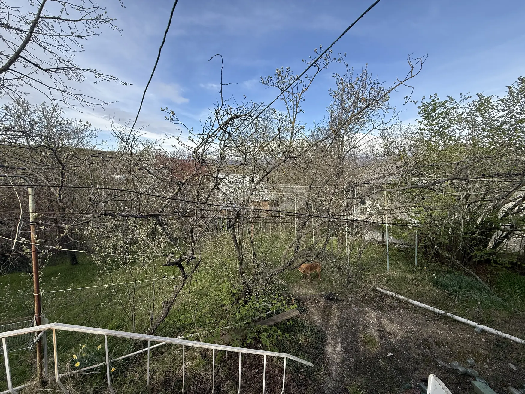 For Sale 3 Room Country House Sagarejos Munitsipalitetshi view 6