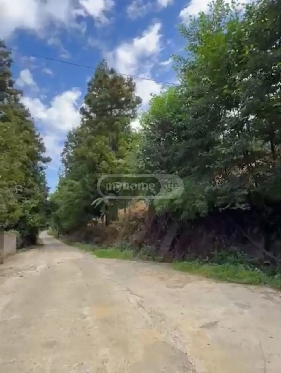For Sale Ara Sasoplo-Sameurneo Land Plot Kobuletis Munitsipalitetshi view 5