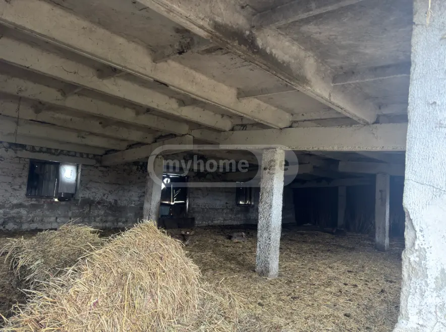 For Sale Satsarmoo Commercial Space Gurjaanshi view 8