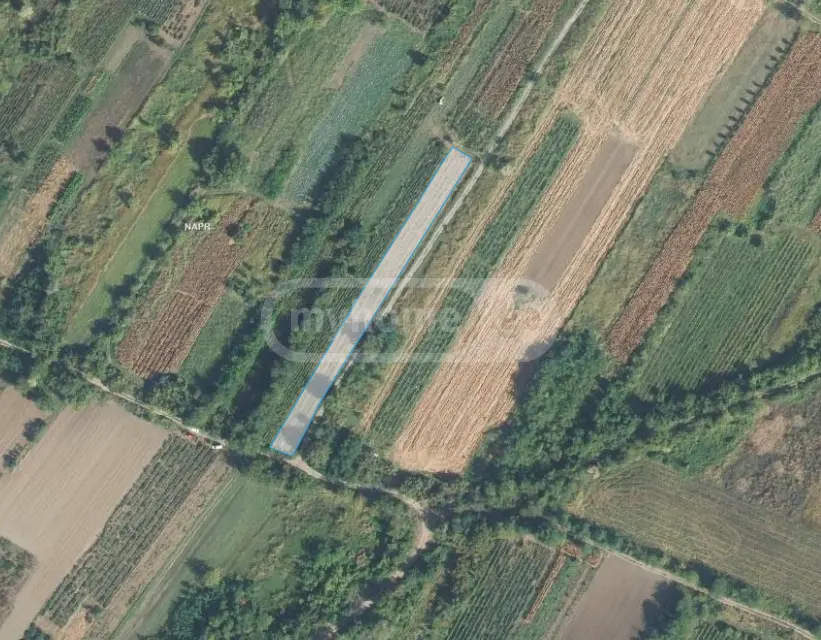 Продажа Земля / участок в Sighnaghshi view 4