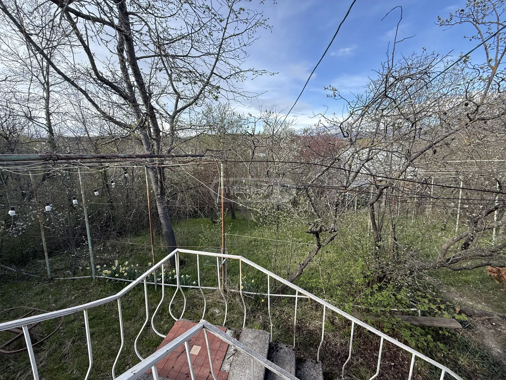 For Sale 3 Room Country House Sagarejos Munitsipalitetshi view 7