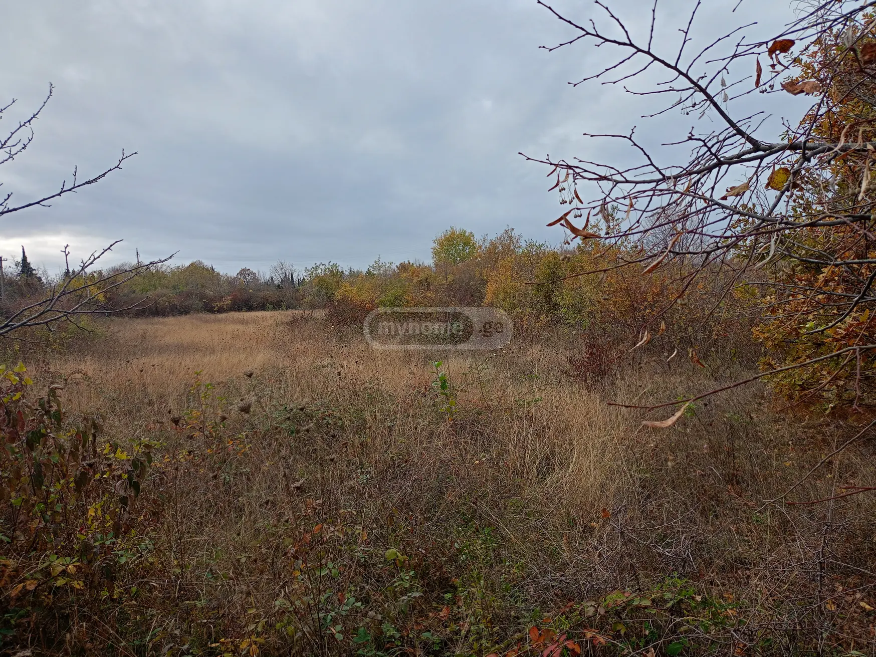 Продажа Земля / участок в Gurjaanshi view 3