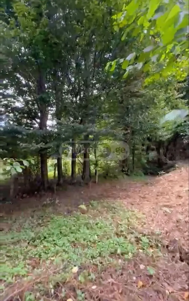 For Sale Ara Sasoplo-Sameurneo Land Plot Kobuletis Munitsipalitetshi view 3
