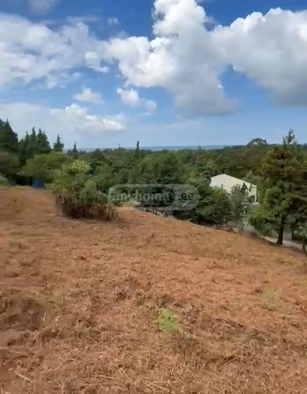 For Sale Ara Sasoplo-Sameurneo Land Plot Kobuletis Munitsipalitetshi view 7