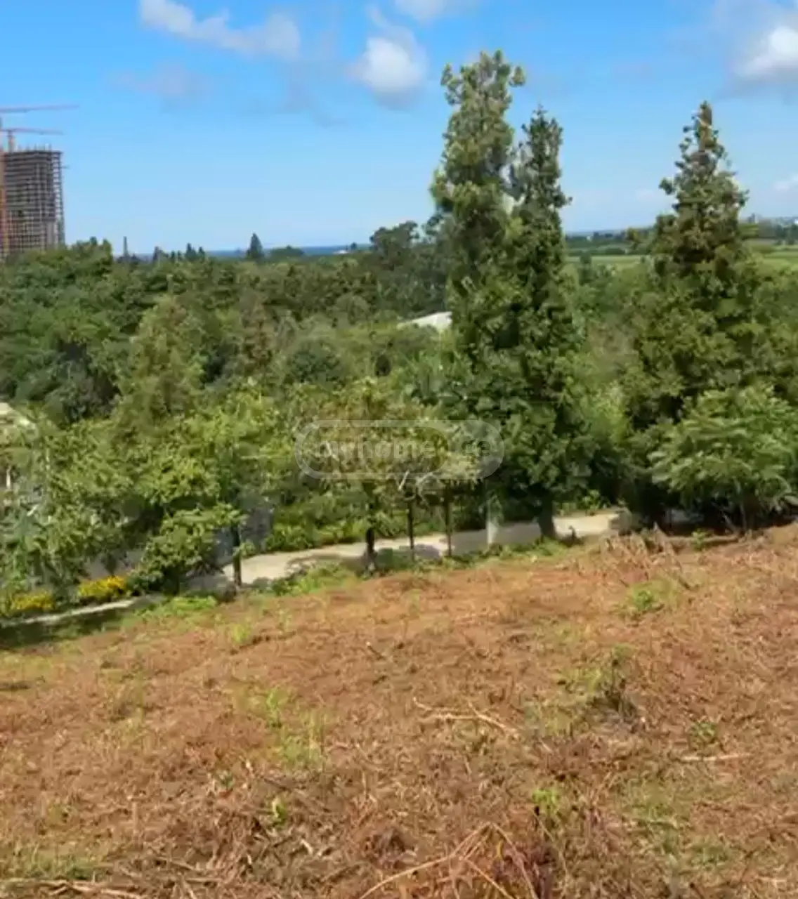 For Sale Ara Sasoplo-Sameurneo Land Plot Kobuletis Munitsipalitetshi view 10