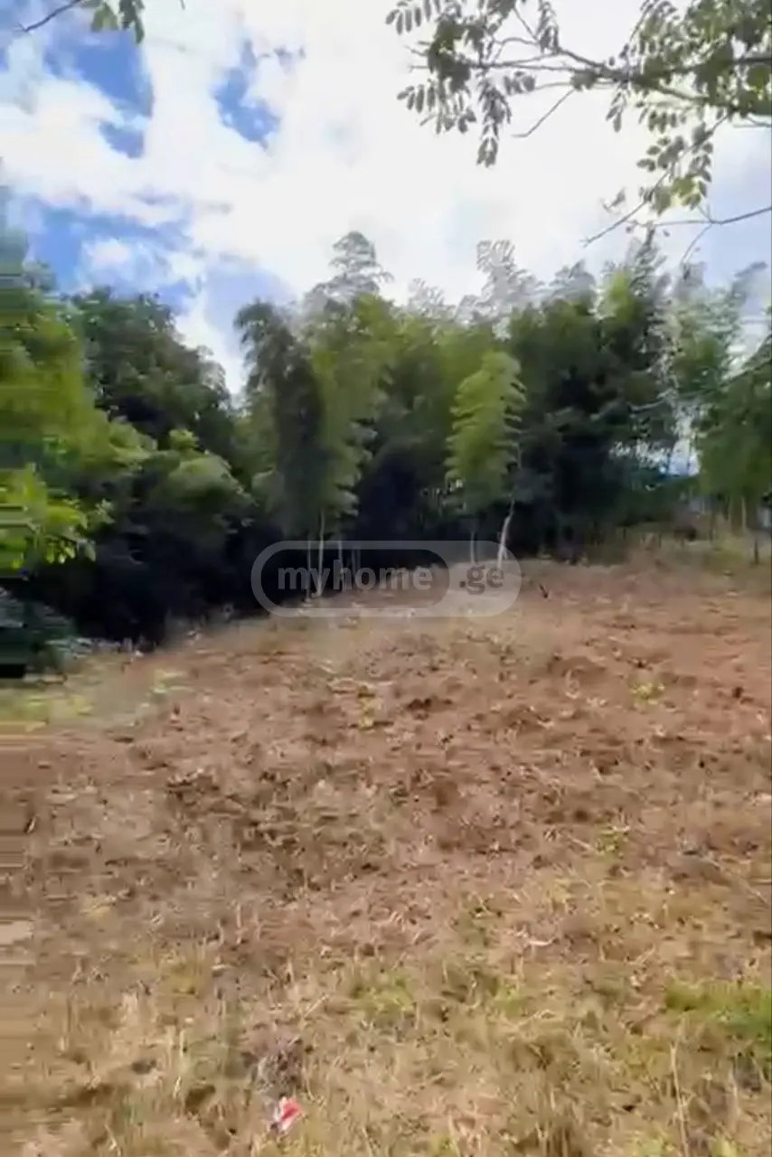 For Sale Ara Sasoplo-Sameurneo Land Plot Kobuletis Munitsipalitetshi view 1