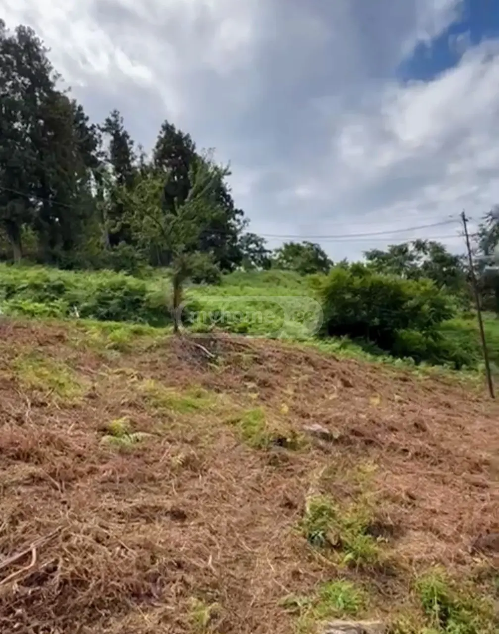 For Sale Ara Sasoplo-Sameurneo Land Plot Kobuletis Munitsipalitetshi view 13