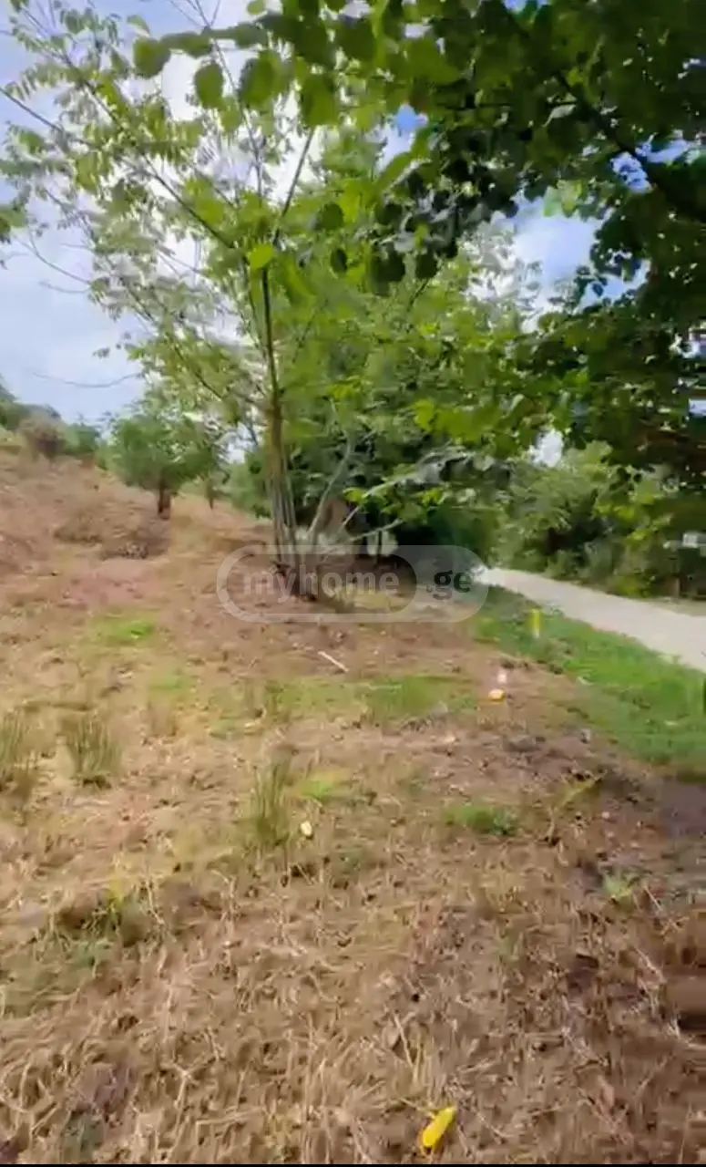 For Sale Ara Sasoplo-Sameurneo Land Plot Kobuletis Munitsipalitetshi view 2