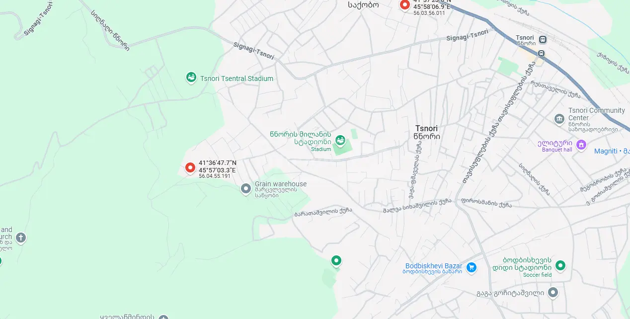For Sale Satsarmoo Commercial Space Sighnaghshi view 9