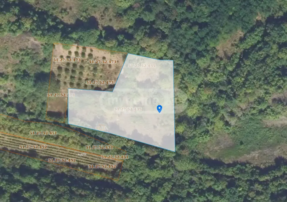 Продажа Земля / участок в Gurjaanshi view 1